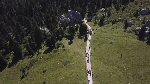 Aerial view of trekkers group on a path of Dolomites, Alps, in a sunny summer  Stock Footage 114356893