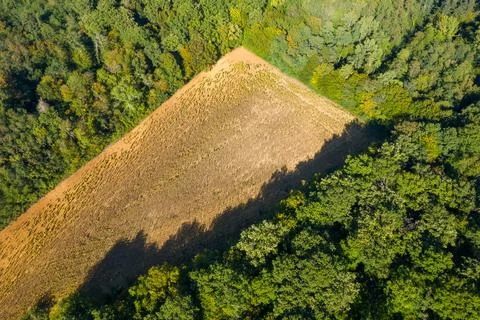 Aerial view of triangular field and forest edge Stock Photos