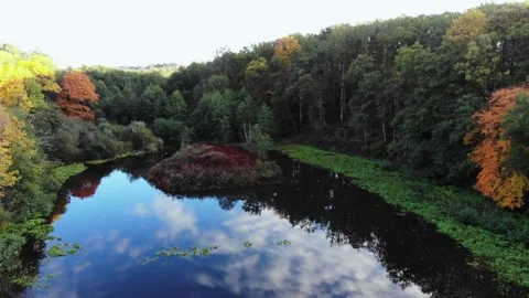 Aerial view of Troncais forest and lake in autumn foliage, Allier, France Stock Footage 341884633