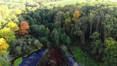 Aerial view of Troncais forest and lake in autumn foliage, Allier, France Stock Footage 341884653