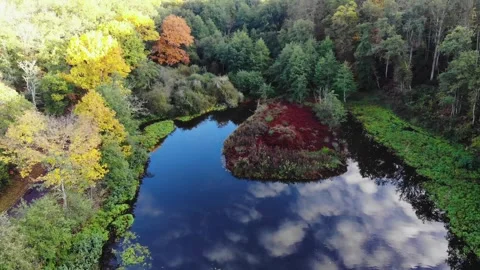 Aerial view of Troncais forest and lake in autumn foliage, Allier, France Stock Footage 341884657