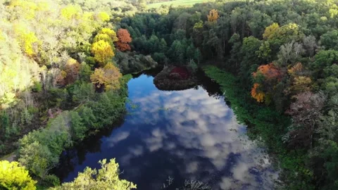 Aerial view of Troncais forest and lake in autumn foliage, Allier, France Stock Footage 341884673