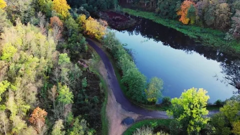 Aerial view of Troncais forest and lake in autumn foliage, Allier, France Stock Footage 341884732