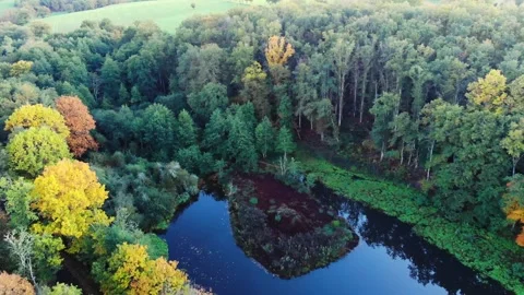 Aerial view of Troncais forest and lake in autumn foliage, Allier, France Stock Footage 341884744