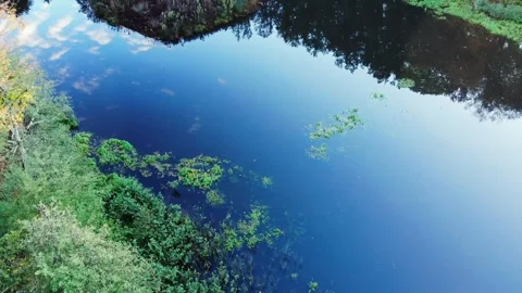 Aerial view of Troncais forest and lake in autumn foliage, Allier, France Stock Footage 341884784