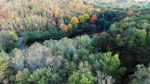 Aerial view of Troncais forest and lake in autumn foliage, Allier, France Stock Footage 341884794