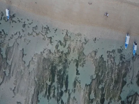 Aerial view of the tropical beach in Bali Stock Footage
