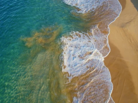 Aerial View of Tropical Beach Stock Footage 84667741