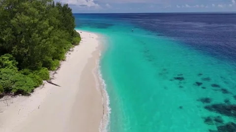 Aerial view of tropical beach. Stock Footage 310030082