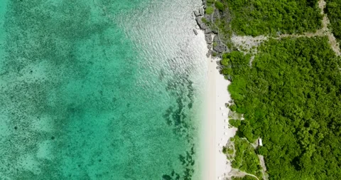 Aerial view of Tropical beach. Stock Footage 310817720