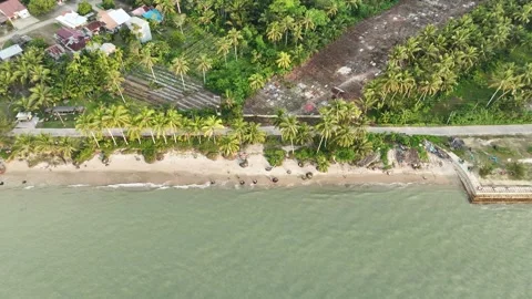 Aerial view of a tropical beachside landscape with palm trees and a road. Stock Footage 336539594
