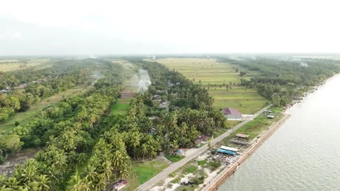 Aerial view of a tropical beachside landscape with palm trees and a road. Stock Footage 336540125