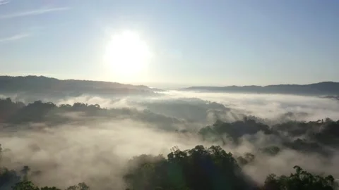Aerial view of a tropical cloudforest with the tree canopy covered in fog Stock Footage 165836007