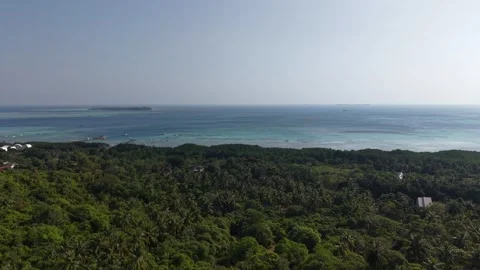 Aerial View of Tropical Forest and Crystal Blue Ocean in Karimunjawa Island Stock Footage 342314853