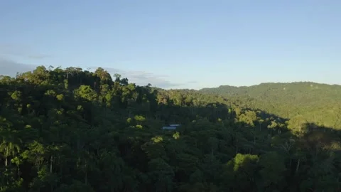 Aerial view of a tropical forest, approaching two houses with tin roofs Stock Footage 147270744