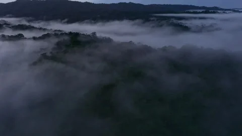 Aerial view of a tropical forest covered in fog early in the morning Stock Footage 336868657