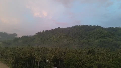 Aerial view of Tropical forest Stock Footage 248812933