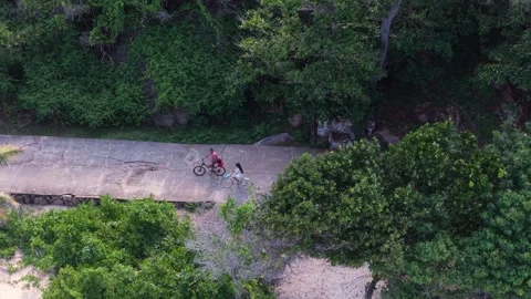 Aerial view of tropical forest path in Anse Reunion, Seychelles. Stock Footage 346381224