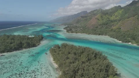 Aerial View Of A Tropical Island Sand Beach - Moorea, French Polynesia Stock Footage 301091553