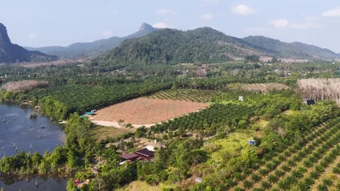 Aerial View of Tropical Landscape with Karst Mountains and Palm Plantations Vídeo Stock 328691153