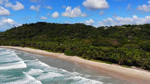 Aerial view of the tropical rainforest and natural beach in Costa Rica Stock Footage