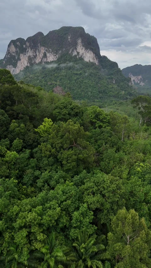Aerial View of Tropical Rainforest and Mountains in Ao Nang, Krabi, Thailand Stock Footage 335961850