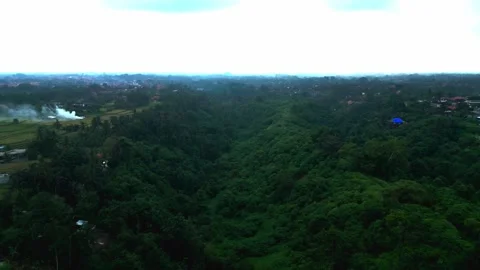 Aerial View of Tropical Rainforest Canopy on Overcast Day, Ubud, Bali, Indonesia Vídeos de archivo 340658498