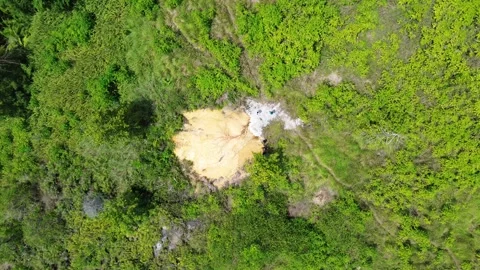 Aerial view of tropical rainforest Stock Footage 250462985