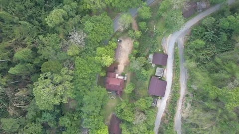 Aerial view of the tropical rainforest Stock Footage 335871592