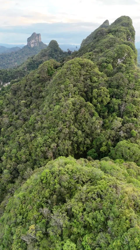 Aerial View of Tropical Rainforest Mountain Ridge Landscape in Khao Sok, Stock Footage 335963880