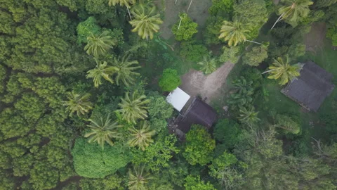 Aerial view tropical rainforest river morning sunrise with fog ecology Stock Footage 303204462