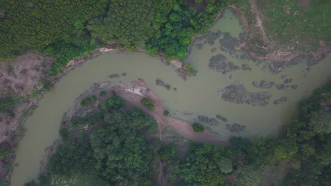 Aerial view tropical rainforest river morning sunrise with fog ecology fresh Stock-Footage 303204509