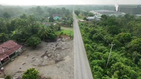 Aerial view of tropical road lined with trees Stock Footage 332522165