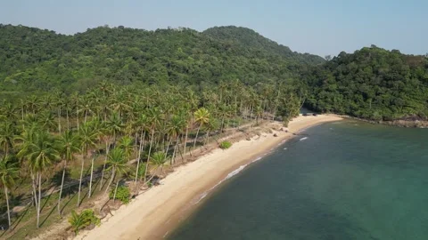Aerial View of Tropical Sandy Beach with Palm Trees and Jungle in Ko Chang, Video stock 335572509