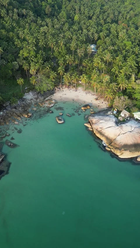 Aerial View of Tropical Sandy Beach with Palm Trees in Koh Phangan, Thailand Stock Footage 335814574