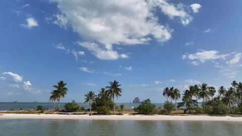 Aerial view of tropical sandy beach with palm trees, Thailand 動画素材 339696174