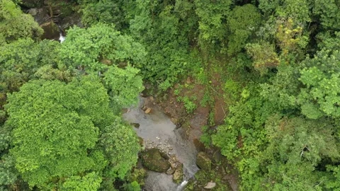 Aerial view of a tropical stream Stock Footage 142750254