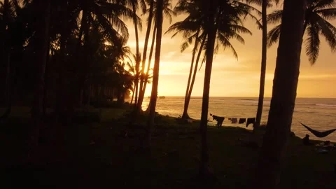 Aerial view of a tropical sunset, 4K Stock Footage 289765663