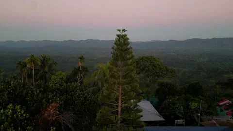 Aerial view of tropical tree canopy and layered mountain ranges at pink dus.. Vídeo Stock 345131772