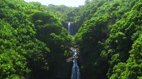 Aerial View of Tropical Waterfalls 2 Stock Footage
