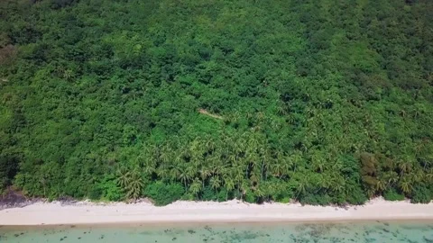 Aerial view of tropical white sand beach Stock Footage