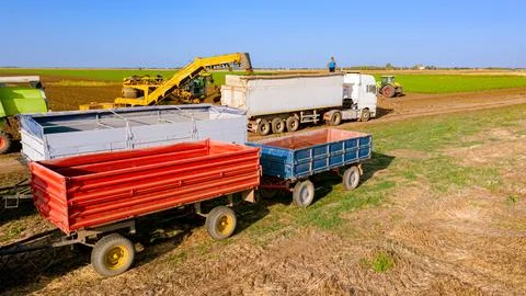 Aerial view on truck shift, loading sugar beet for transportation Stock Photos