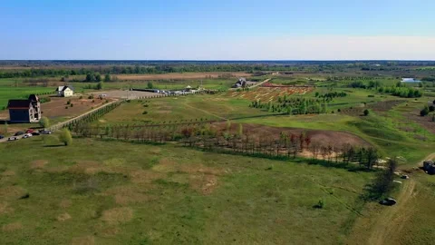 Aerial view of Tulip field Stock-Footage 155930736