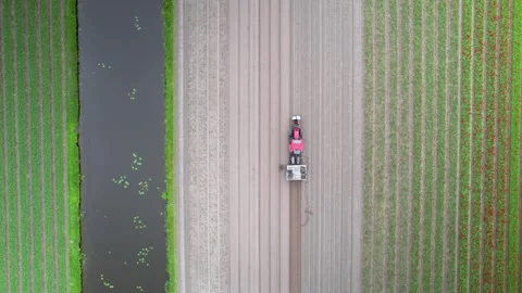 Aerial view of Tulip fields and tractor in the Netherlands countryside. Stock Footage 271169766