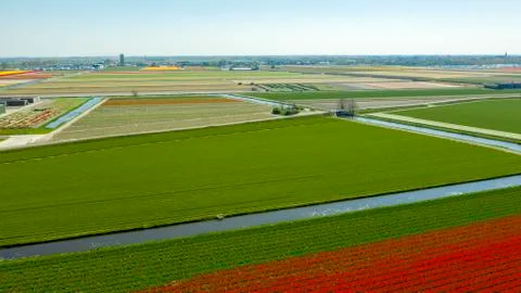 Aerial view of tulip fields in springtime, Holland, the Netherlands Stock Photos
