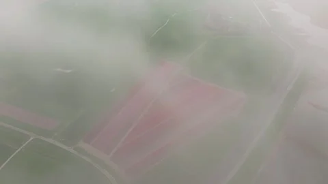 Aerial view of tulip rows under overcast skies in rural Netherlands Stock Footage 313362473