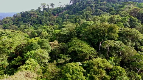 Aerial view, turning around a small hill covered in forest Stock Footage 336867029