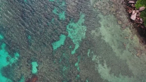 Aerial view of turquoise blue reef and coastline Praslin Seychelles. Stock Footage 153274427