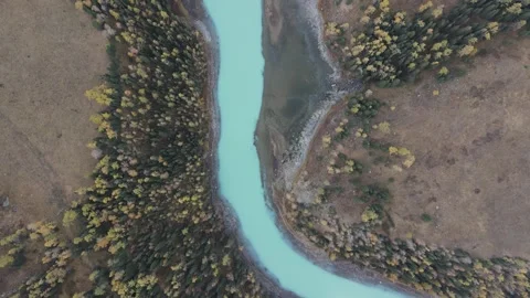 Aerial view of turquoise Kanas River winding through autumn forest in Xinjiang Vídeos de archivo 344900033