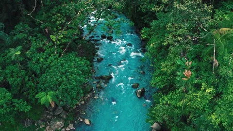 Aerial view of a turquoise river flowing through a lush tropical rainforest Vídeos de archivo 341735556